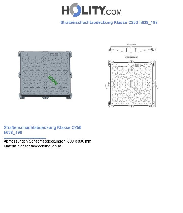 Straßenschachtabdeckung Klasse C250 h638_198
