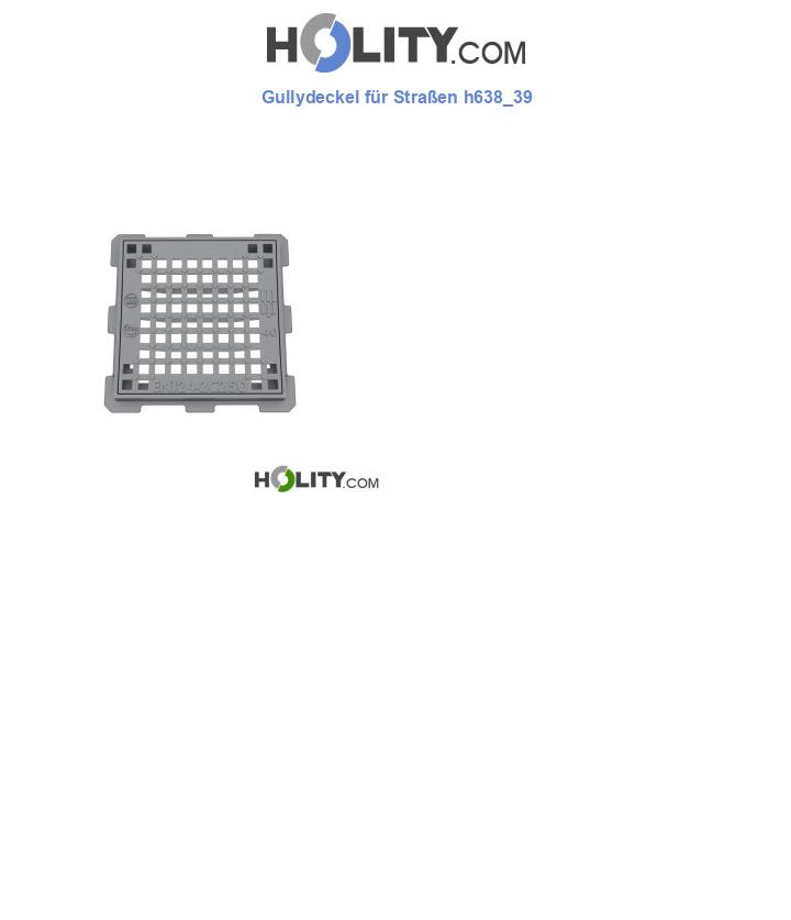 Gullydeckel für Straßen h638_39