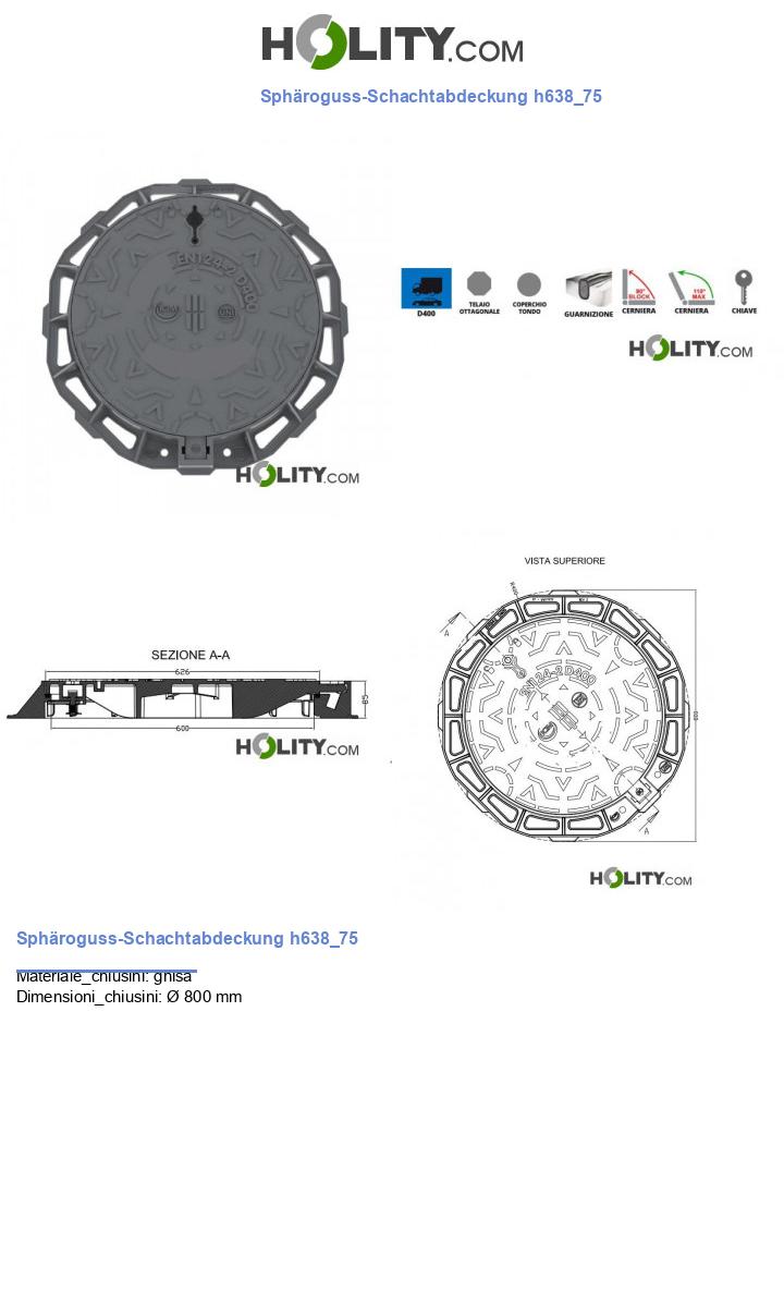 Sphäroguss-Schachtabdeckung h638_75