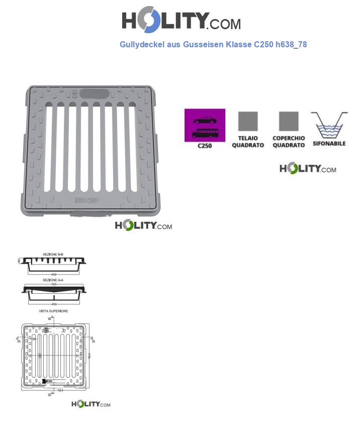 Gullydeckel aus Gusseisen Klasse C250 h638_78
