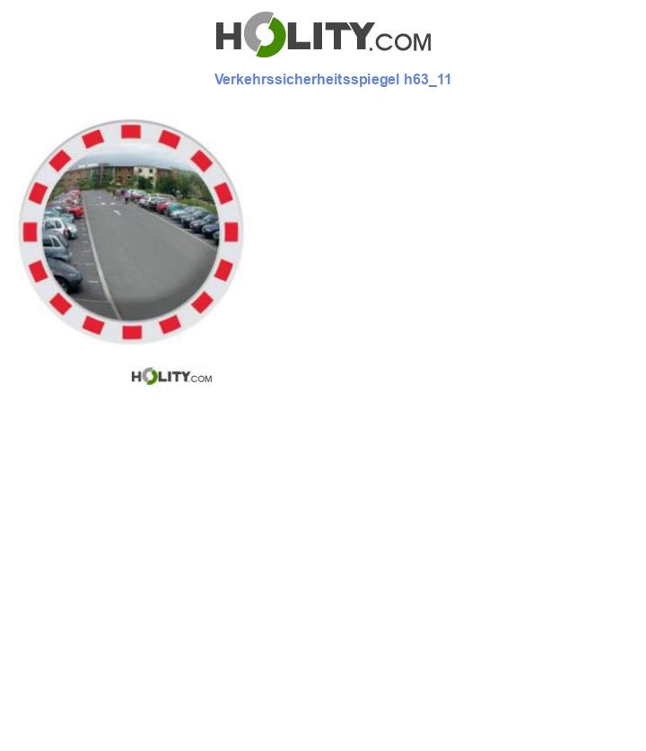 Verkehrssicherheitsspiegel h63_11
