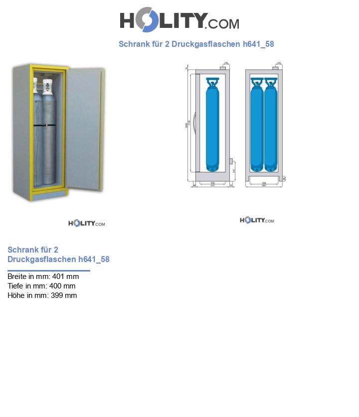 Schrank für 2 Druckgasflaschen h641_58