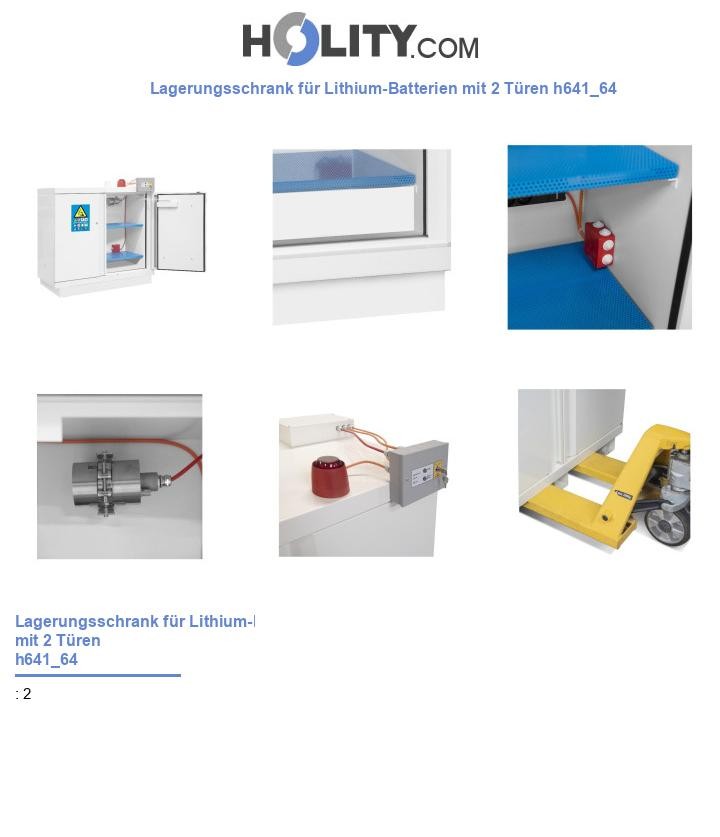 Lagerungsschrank für Lithium-Batterien mit 2 Türen h641_64