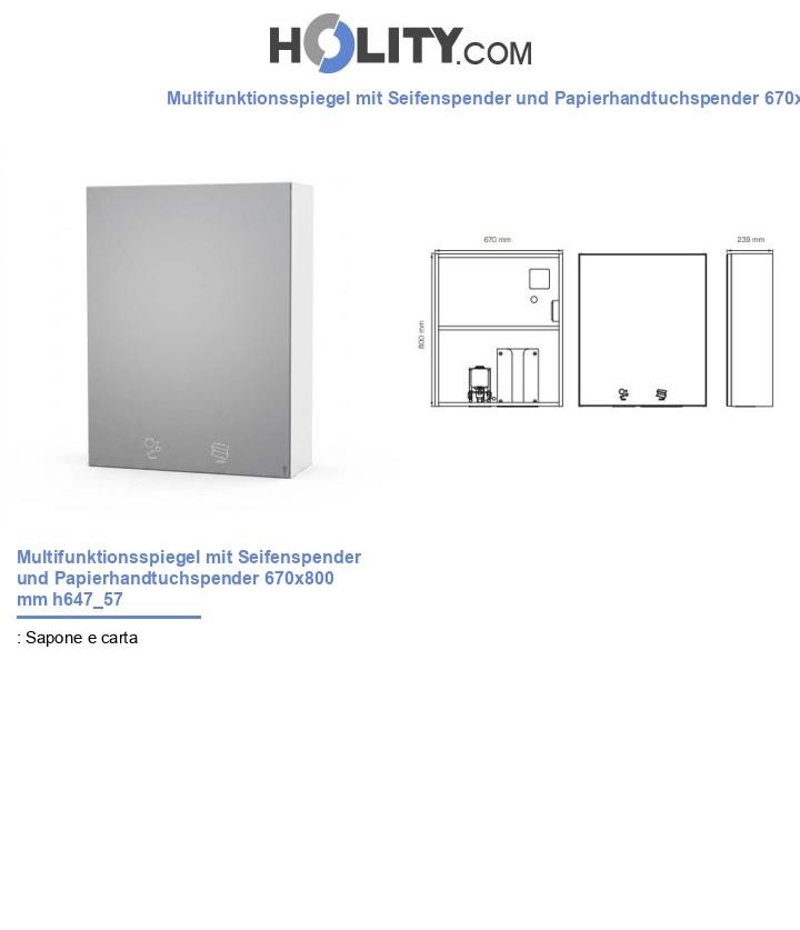 Multifunktionsspiegel mit Seifenspender und Papierhandtuchspender 670x800 mm h647_57