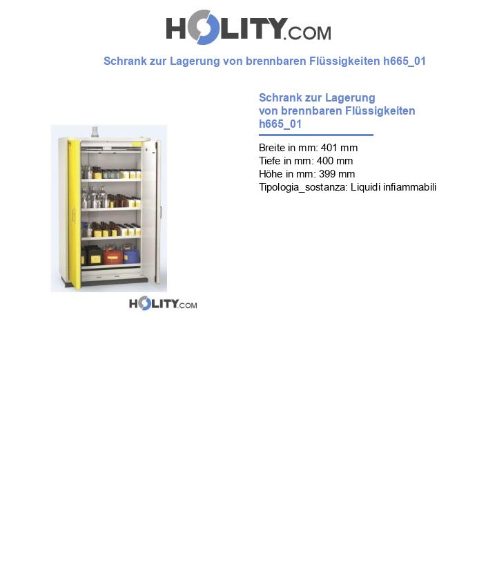 Schrank zur Lagerung von brennbaren Flüssigkeiten h665_01