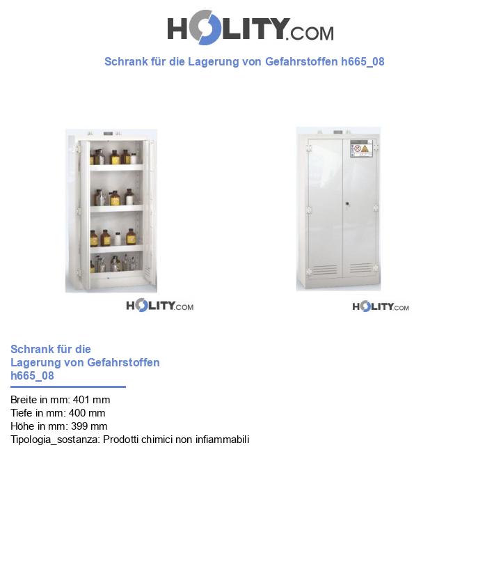Schrank für die Lagerung von Gefahrstoffen h665_08
