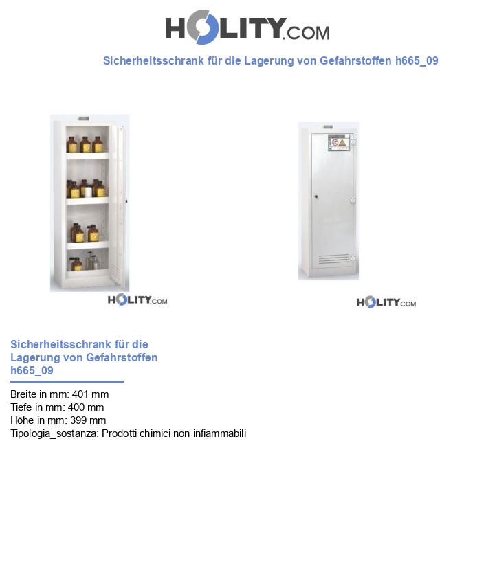 Sicherheitsschrank für die Lagerung von Gefahrstoffen h665_09