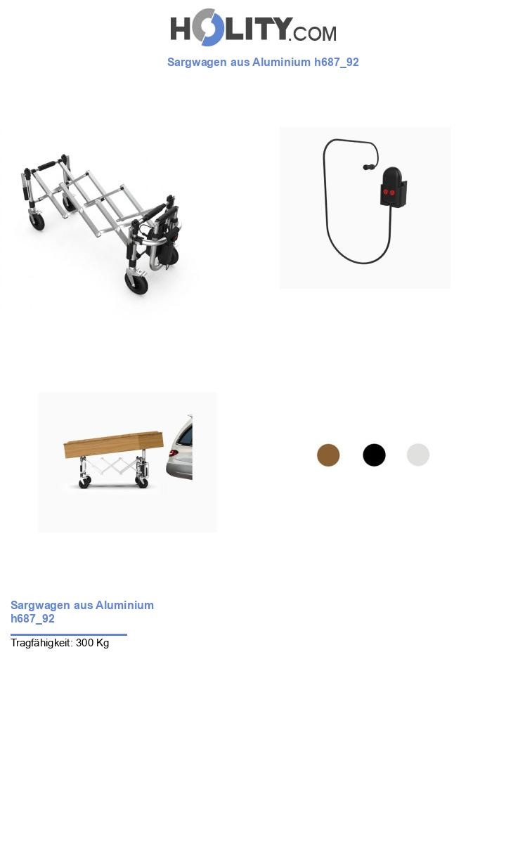 Sargwagen aus Aluminium h687_92