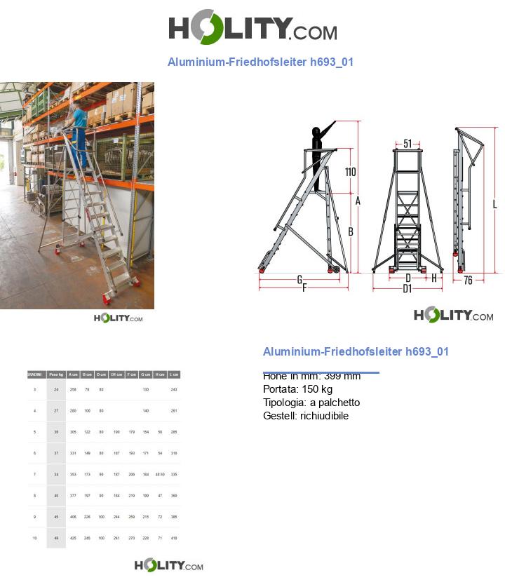 Aluminium-Friedhofsleiter h693_01