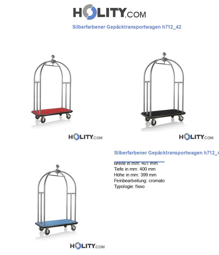 Silberfarbener Gepäcktransportwagen h712_42