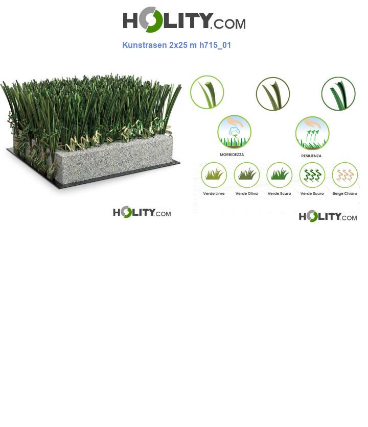 Kunstrasen 2x25 m h715_01