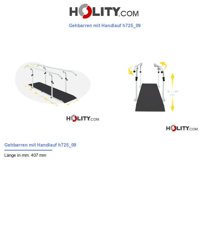 Gehbarren mit Handlauf h725_09