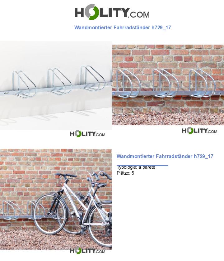 Wandmontierter Fahrradständer h729_17