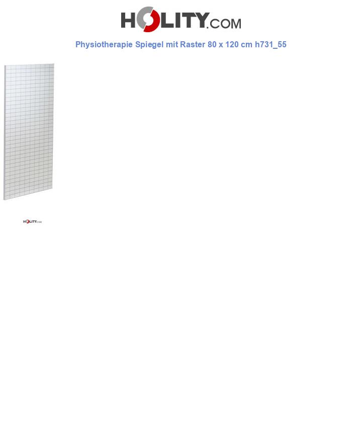 Physiotherapie Spiegel mit Raster 80 x 120 cm h731_55