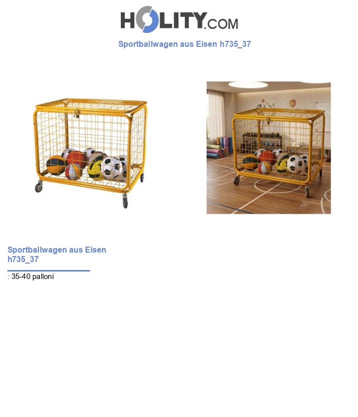 Sportballwagen aus Eisen h735_37