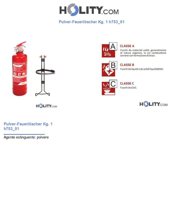 Pulver-Feuerlöscher Kg. 1 h753_01
