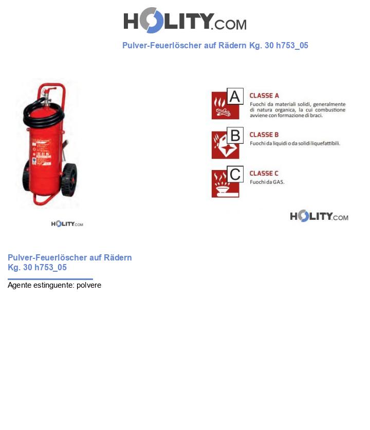 Pulver-Feuerlöscher auf Rädern Kg. 30 h753_05