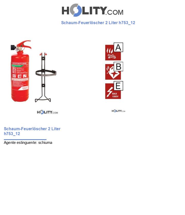 Schaum-Feuerlöscher 2 Liter h753_12