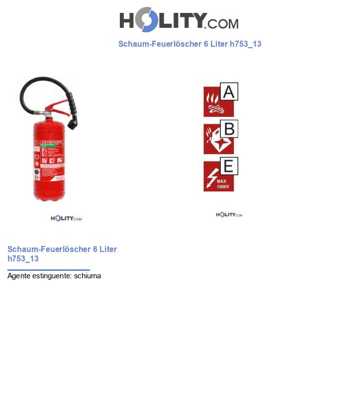 Schaum-Feuerlöscher 6 Liter h753_13