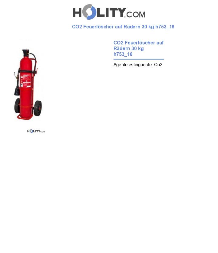 CO2 Feuerlöscher auf Rädern 30 kg h753_18