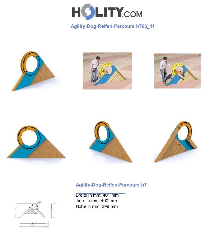 Agility-Dog-Reifen-Parcours h763_41