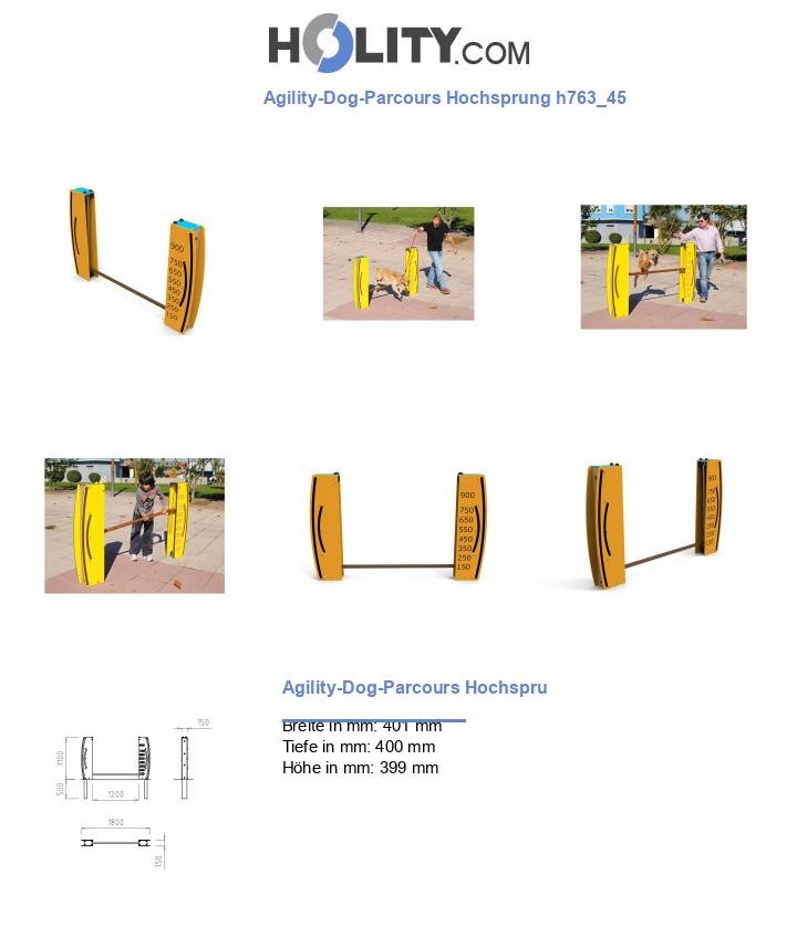 Agility-Dog-Parcours Hochsprung h763_45
