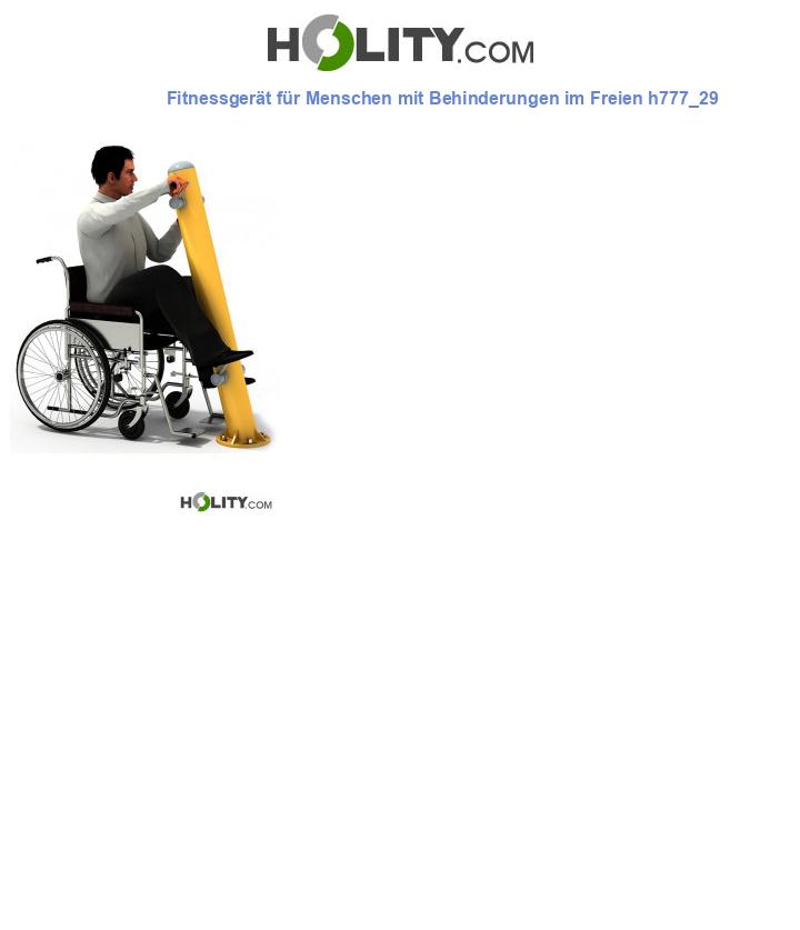 Fitnessgerät für Menschen mit Behinderungen im Freien h777_29
