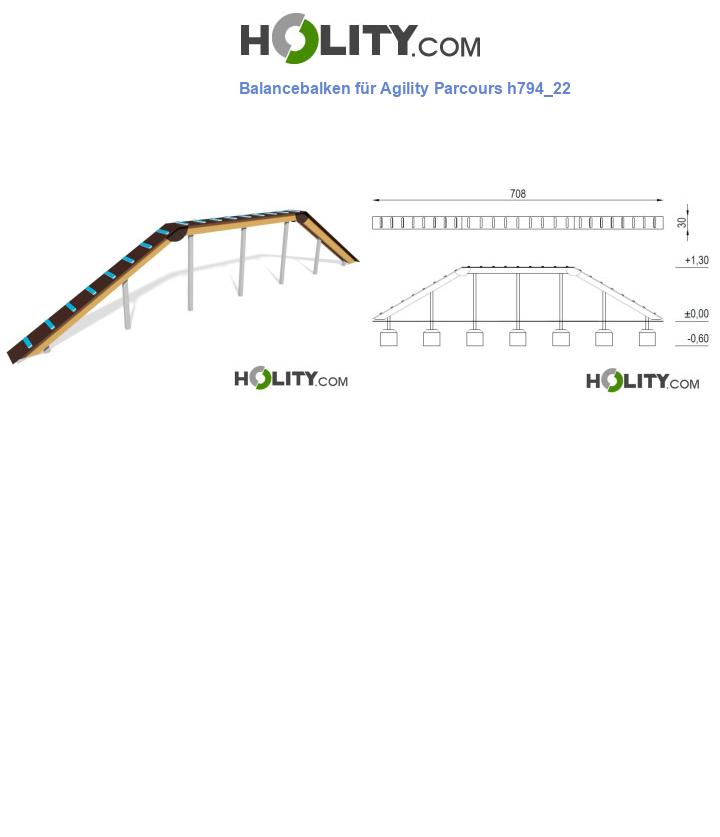 Balancebalken für Agility Parcours h794_22