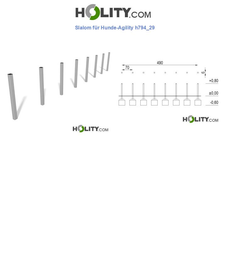 Slalom für Hunde-Agility h794_29