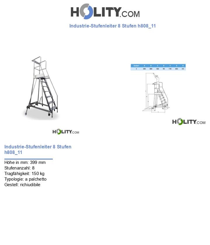 Industrie-Stufenleiter 8 Stufen h808_11