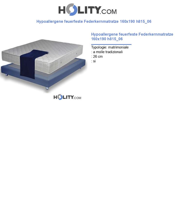 Hypoallergene feuerfeste Federkernmatratze 160x190 h815_06