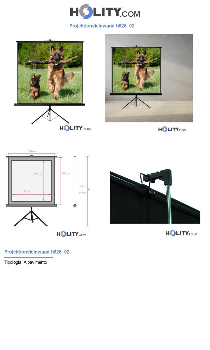 Projektionsleinwand h825_02