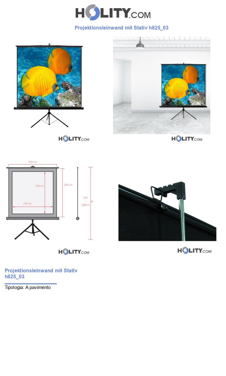 Projektionsleinwand mit Stativ h825_03