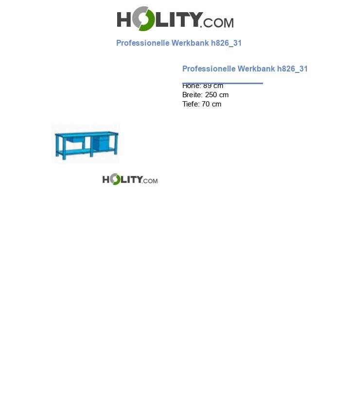 Professionelle Werkbank h826_31