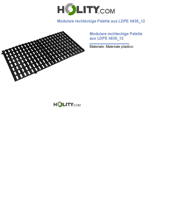 Modulare rechteckige Palette aus LDPE h836_12