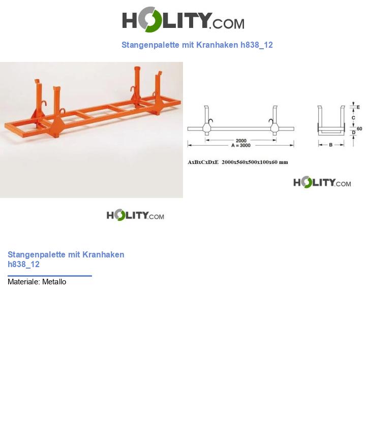 Stangenpalette mit Kranhaken h838_12