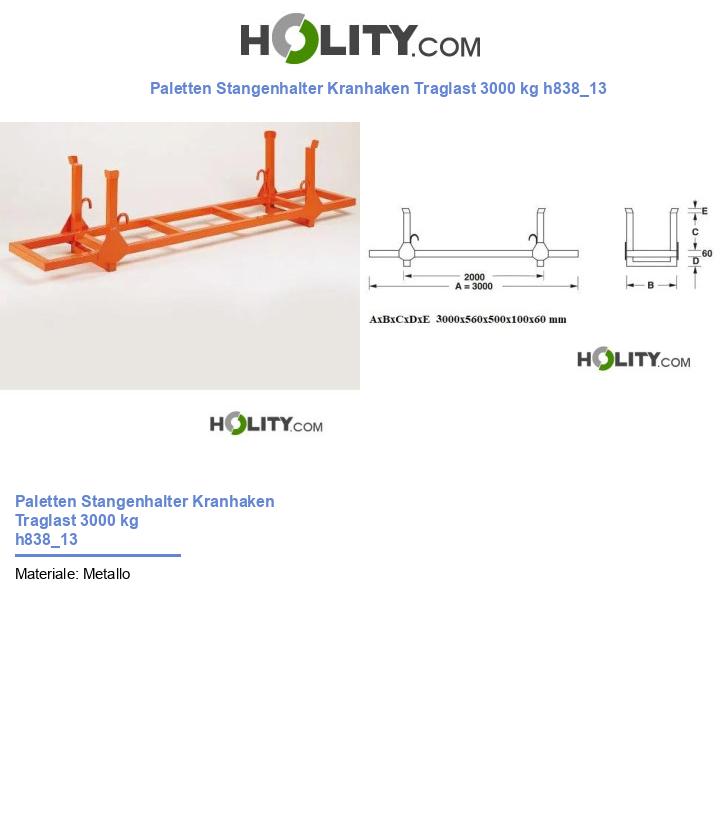 Paletten Stangenhalter Kranhaken Traglast 3000 kg h838_13