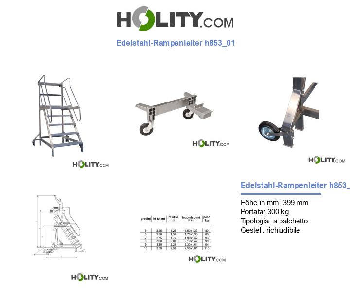 Edelstahl-Rampenleiter h853_01