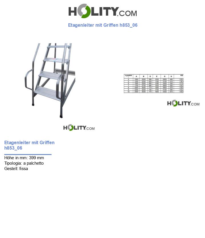 Etagenleiter mit Griffen h853_06