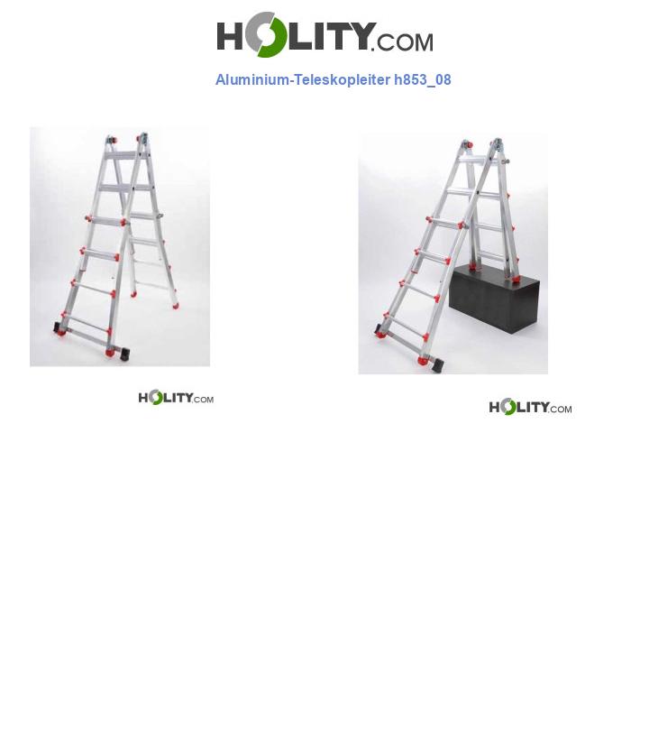 Aluminium-Teleskopleiter h853_08