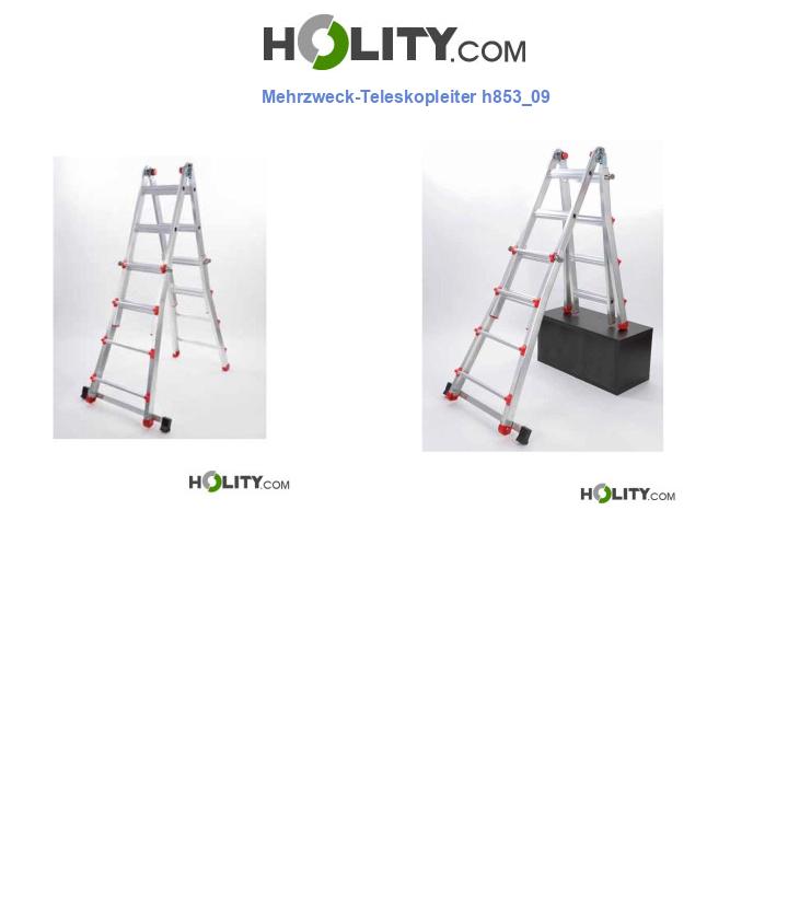 Mehrzweck-Teleskopleiter h853_09