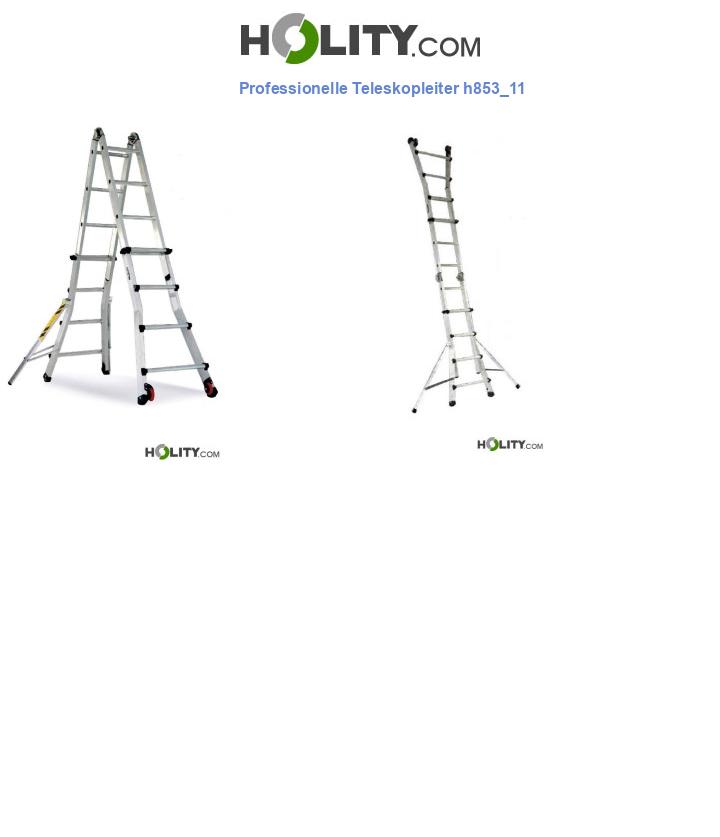 Professionelle Teleskopleiter h853_11
