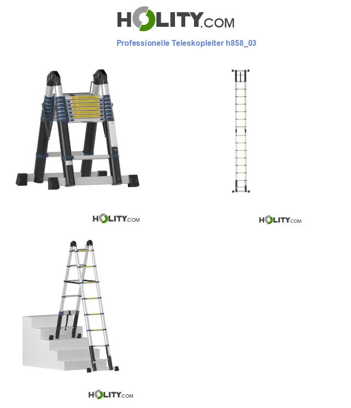 Professionelle Teleskopleiter h858_03