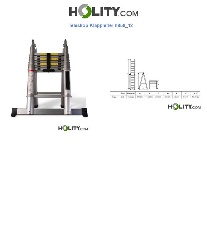 Teleskop-Klappleiter h858_12