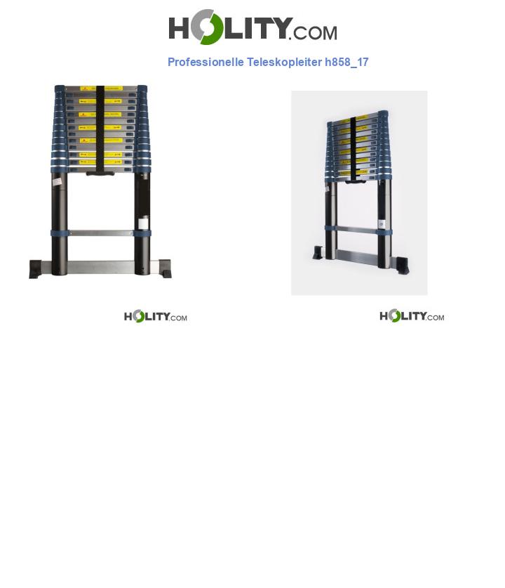 Professionelle Teleskopleiter h858_17