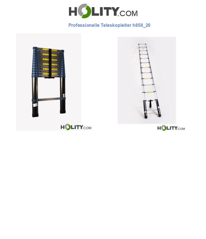 Professionelle Teleskopleiter h858_20