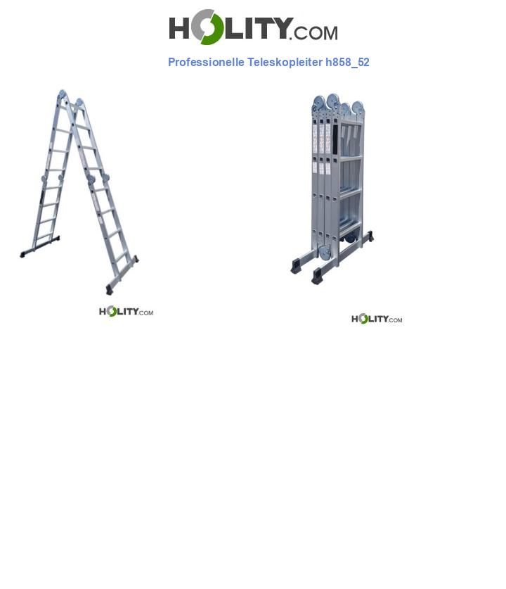 Professionelle Teleskopleiter h858_52