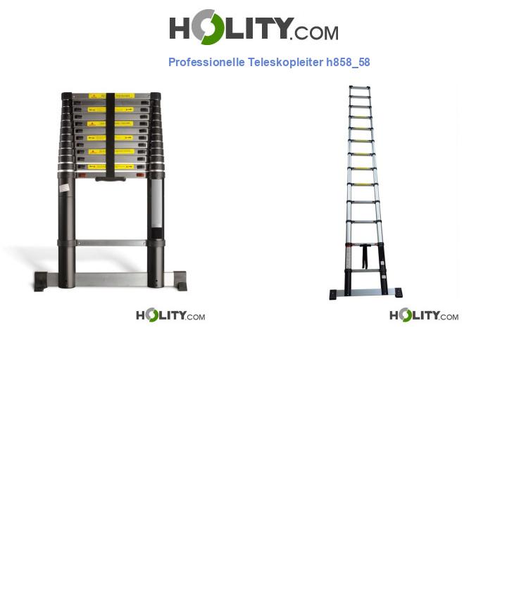 Professionelle Teleskopleiter h858_58