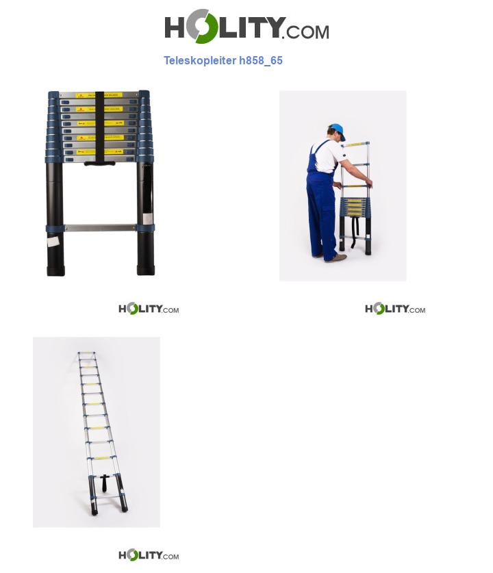 Teleskopleiter h858_65