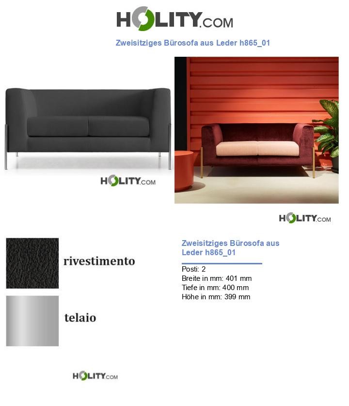 Zweisitziges Bürosofa aus Leder h865_01
